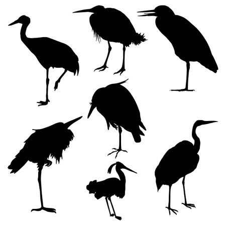 Heron silhouette set. Vector illustration . Heron bird silhouetteのイラスト素材