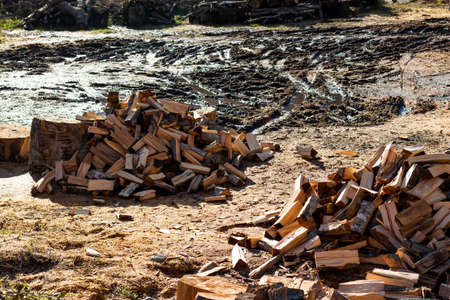 Pile of split logs for firewood with sunlight in the muddy countrysideの写真素材