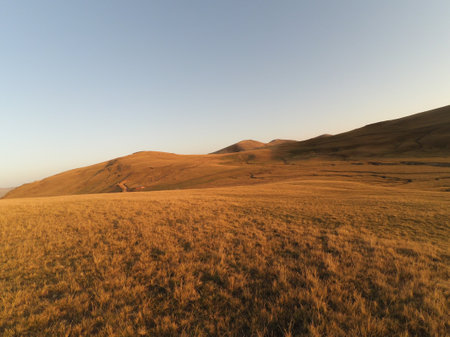 Golden hour light in the hills. Sunset in the mountains.Panoramic view of rural meadow or pasture grass in sunsetの写真素材