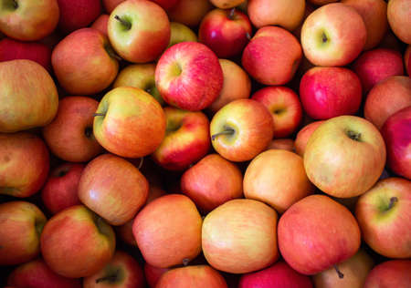 Full screen of red apples background. Many organic fresh apple in market stall, full frame shot.