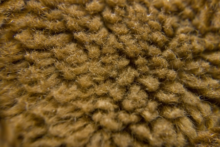 brown fur wool under microscope at laboratory
