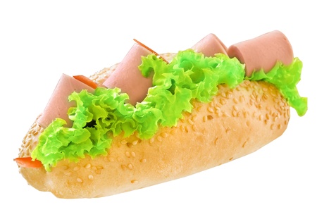 long sandwich with lettuce and sausageの写真素材