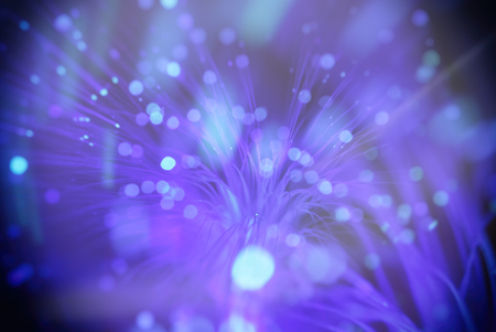 colored particles fly in space of the optical fiber and circling ( abstract blur background  )の写真素材