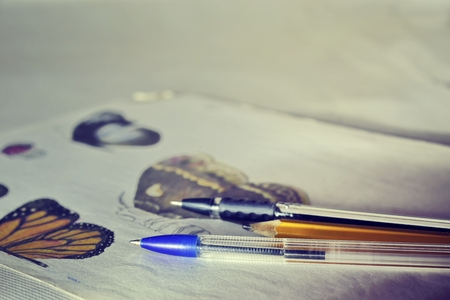 drawing butterflies  by pencils and pens on paper (drawing lessons)の写真素材
