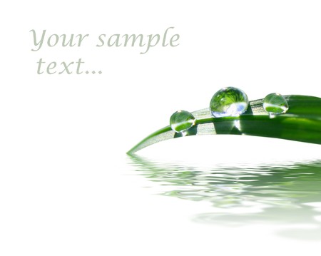 background with green grassの写真素材