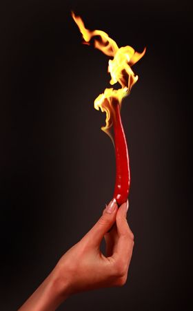 red burning hot chili pepperの写真素材