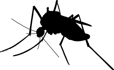 Mosquito icon, insects icon, home insect, malaria awarenessのイラスト素材