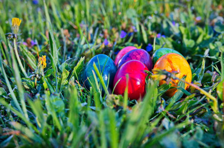 Colorful Easter eggs on green meadow