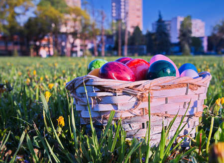 Easter eggs in wicker basket on green meadow