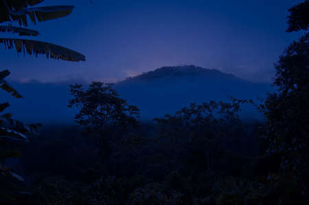 Early morning view from lodge in the jungle