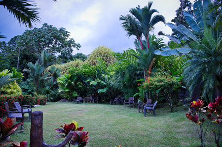 Tropical garden in resort in Costa Ricaの写真素材