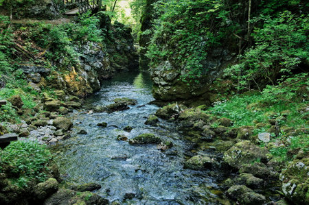 Little creek flowing through the canyonの写真素材