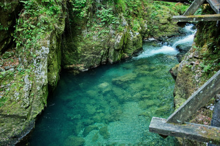 Small creek flowing through the canyonの写真素材