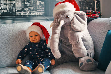 Cute little boy in Christmas costume and Santa hat with stuffed elephant sitting on a sofaの写真素材