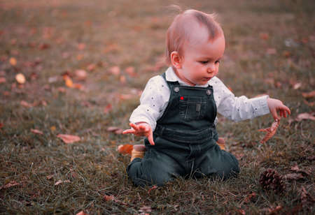 Cute little baby kneels on the grass in a park