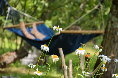 Woman relaxing in hammock during summer holidaysの写真素材