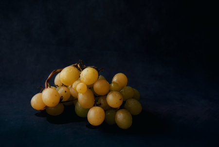 Bunch of grapes on dark backgroundの写真素材