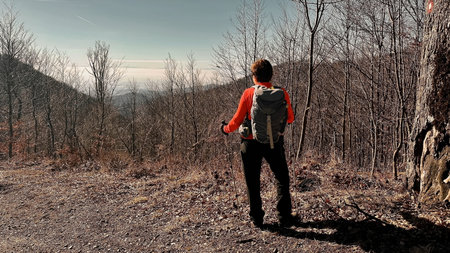 Rear view of senior woman hiking through the forest