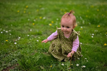 A little girl is crouching in the grass and picking flowersの写真素材