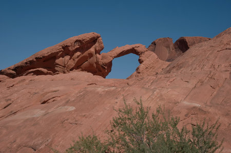 Sandstone formation in Valley of Fire State Park, USAの写真素材