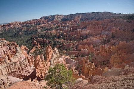 Beautiful rocks in Bryce Canyon National Parkの写真素材