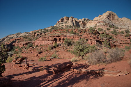 Hiking to Lower Calf Creek Falls Trail, USAの写真素材