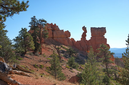Beautiful rocks in Bryce Canyon National Parkの写真素材