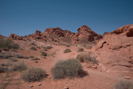 Beautiful landscape of Valley of Fire near Las Vegasの写真素材