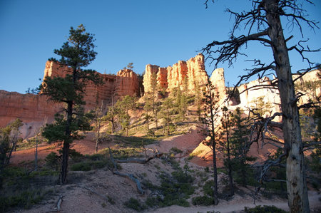 Beautiful rocks in Bryce Canyon National Parkの写真素材