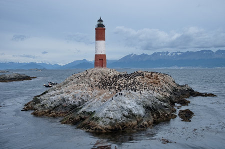Lighthouse on an islet in Beagle channel with lot of birdsの写真素材