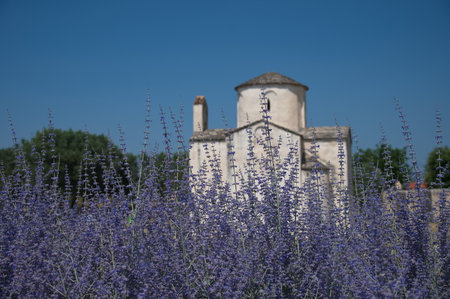 View of the medieval church through lavender flowersの写真素材