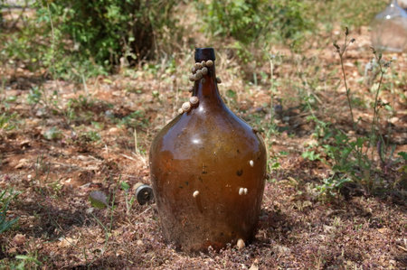 A glass bottle in nature with snails climbing on itの写真素材