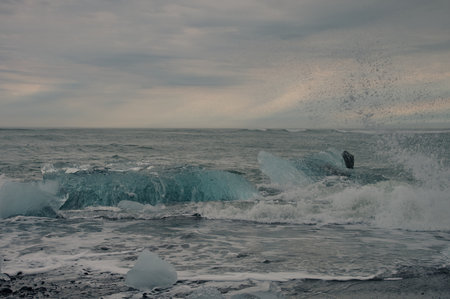 Icebergs on the coast of JÃ¶kulsÃ¡rlÃ³n beach