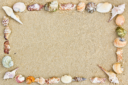 Sand with shellsの写真素材