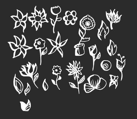 Set of flower doodles vector line on chalkboardのイラスト素材