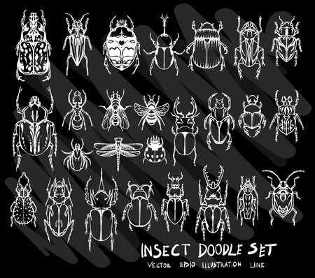 Hand drawn doodle vector Insect icon set on Chalkboardのイラスト素材