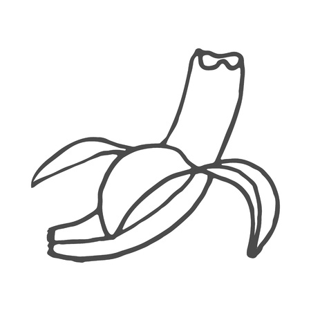 Fruits banana doodle. Vector illustration isolated on white background. EPS 8のイラスト素材