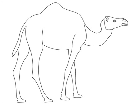 Black and white cute cartoon camel. Coloring book for the children.のイラスト素材