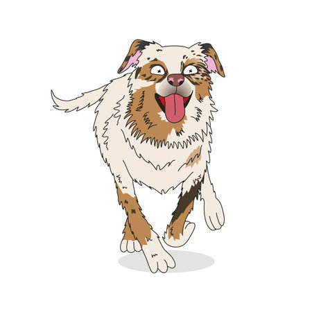 Australian shepherd dog run full body portraitのイラスト素材