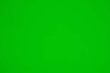 a light green backgroundの写真素材