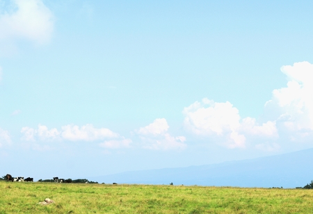 Located east of Matsumoto, this plateau is the largest and highest (2,000 meters) plateau in Japan. You can get information on nature and the plateau at Utsukushigahara Kogan.の写真素材