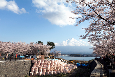 Mountain fuji and Lake ,the most famous place in Japan to traveling.の写真素材
