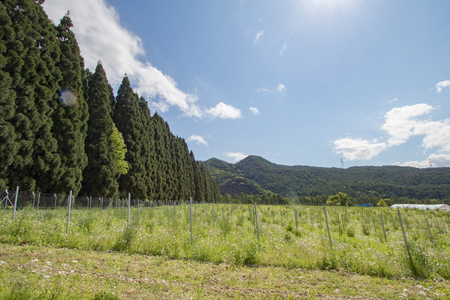 Beautiful landscape of Takayama mura at sunny summer or spring day and blue sky in Kamitakai District in northeast Naganoの写真素材