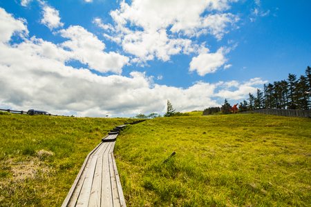 Beautiful landscape mountain view of Utsukushigahara is  one of the most important and popular natural place in Nagano , Japan.の写真素材