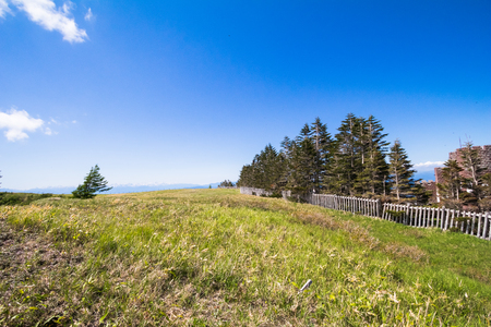 Beautiful landscape mountain and road view of Utsukushigahara is  one of the most important and popular natural place in Nagano , Japan.の写真素材