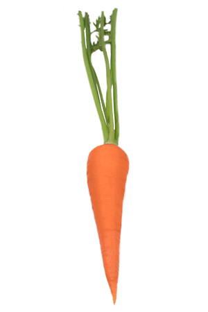 Carrot with leaves isolated on white background with clipping path.の写真素材