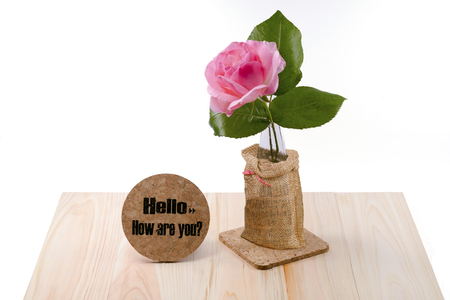 Beautiful  one pink rose  blooming with inspiration words Isolated  on a white background with clipping path.の写真素材