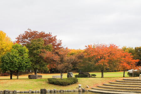 soft focus and blur style of Japan autumn ,  Obuse park ,Nagano,Japan.の写真素材