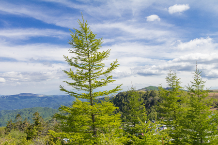 Beautiful landscape mountain view of Utsukushigahara is  one of the most important and popular natural place in Nagano , Japan.の写真素材