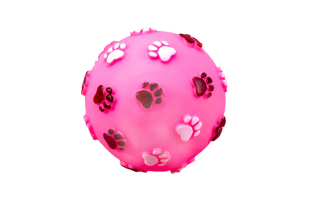 Ball toy for dog   isolated on a white background  with clipping path.の写真素材